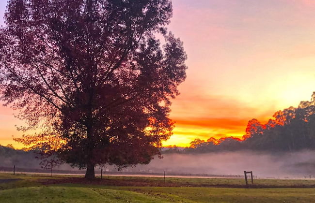 Valley Farm Vineyard Cottages - Foto 65