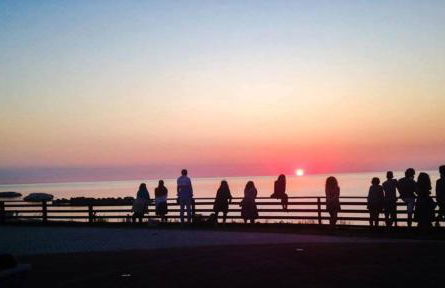 Stella di mare - Foto 23