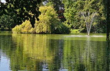 Fe Wo Nele - Foto 23