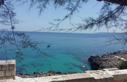 Azienda Agrituristica B&B La Torre - Photo 8