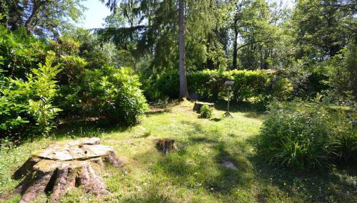 Caban Coetir - Photo 2, Garden