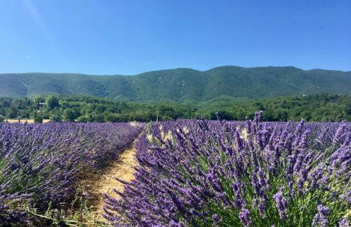 Provençal Villa With Luberon Views - Foto 17