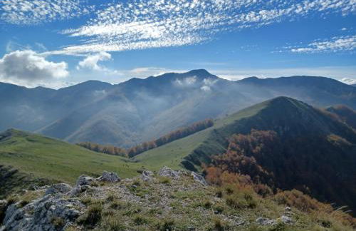 Principe di Napoli - Foto 37