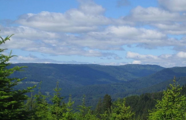 1 Fuchskreuzhof Comfortable Holiday Residence - Foto 3