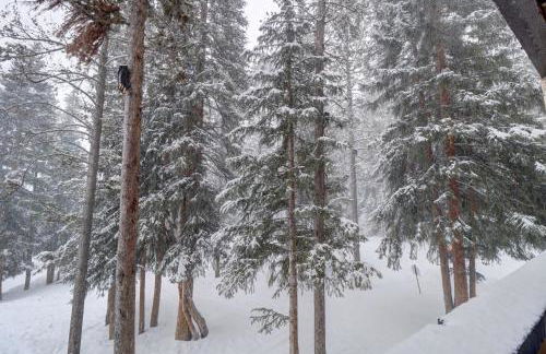 CM216 Copper Mountain Inn 2Br 2Ba condo - Foto 27