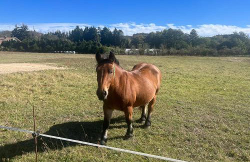 Agroturismo Gorbeabide - Foto 36