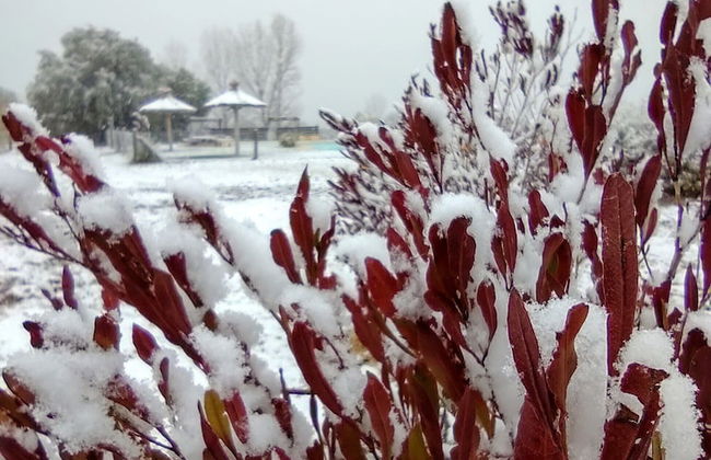 Viento Andino - Foto 19