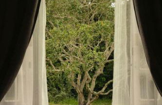 Pousada Sonho do Campo - Foto 12