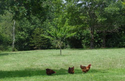 Domaine Des Coutelleries - Foto 45