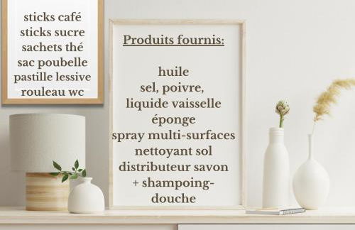 FACE MER grand T3 familial, parking gratuit - Foto 16