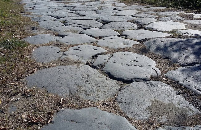 Red House/casa Rossa - Near Civita Di Bagnoregio - Foto 63