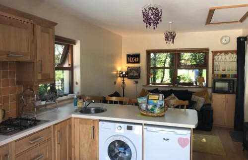 Pigeon Brae pet friendly accommodation Enniskillen - Foto 5