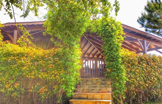 Bodrum Villa House - Foto 8