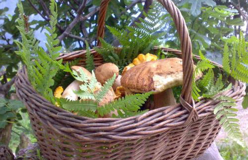 Residence Garnì Il Giglio - Photo 61