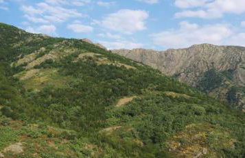 Refugios Del Valle Negro - Foto 48