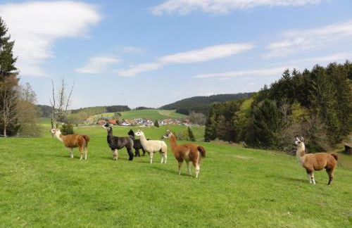 ruhiges Wohnen am Lama und Maine Coon Hof in Alleinlage in Biederbach 3 Zimmer mit Kochgelegenheit Bad - Foto 17