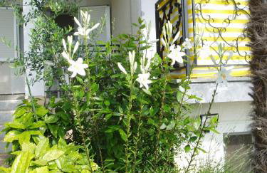 Apartments Villa Elizabet - Foto 17