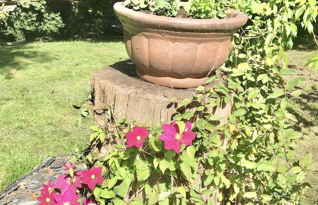 Charming 1-bedroom Apartment Near South Downs - Foto 20