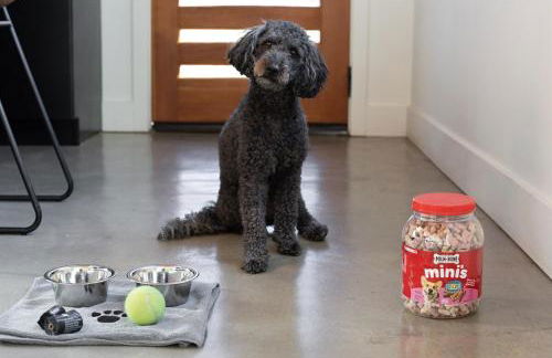 Heated Hydro Pool -Spa - Plunge - Luxe AVL Retreat - Foto 12