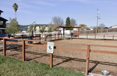 Emerald Oasis Cozy Living with Pet Park - Foto 23