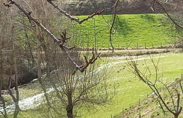 Alojamento Local Madre de Cima - Foto 6