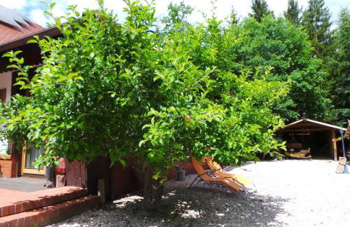 Dom na Leśnym Zaciszu 2 - Foto 30