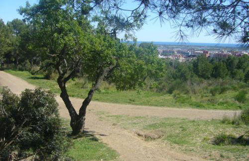 Casa Flor de Taronger - Foto 44