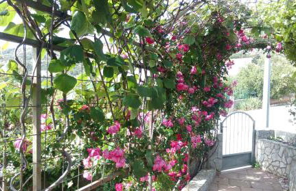 Apartments Marija - Photo 9