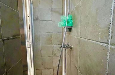 Nid douillet d'Anglet - Foto 2