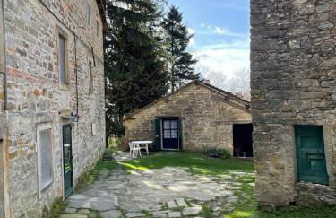 SO MAGIC - La casa nel bosco - Foto 1