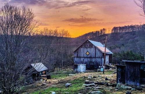 Charming Yurt Rental Nestled in the Forest near Friendsville, Maryland - Foto 24