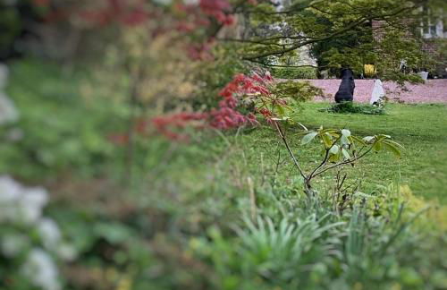 Le Pré Aux Loups - Foto 38