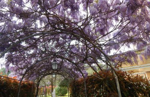 Rta la Pergola - Foto 25