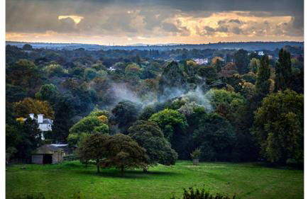 3-bedroom Home in Richmond - Ideal Family Living - Foto 49