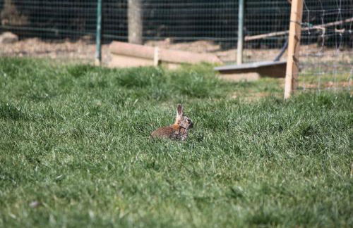Casa dos meus avós -Villas - Gaia & Porto - Foto 60