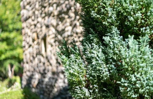 Cosy holiday home with garden - Foto 30