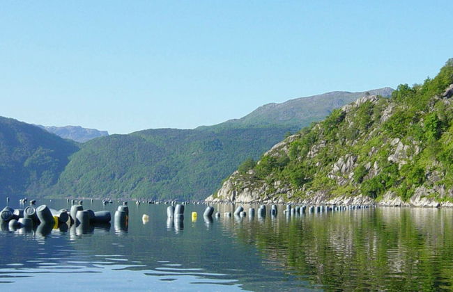 6 Person Holiday Home in Akra-by Traum - Foto 16