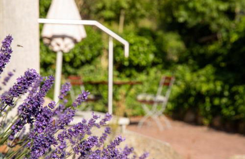 FEWO 02 Heimathafen - Foto 52