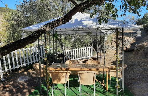 La Cuevita de Hilario - Foto 21