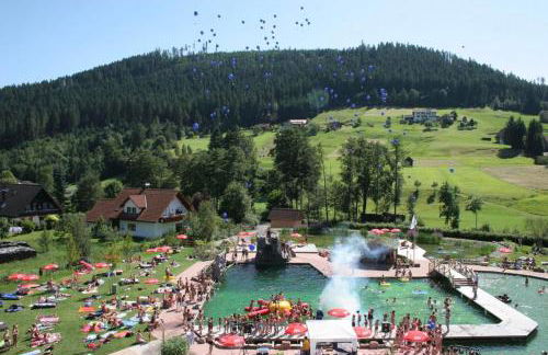 Ferienwohnung Schwarzwald Tannenzäpfle - Foto 47