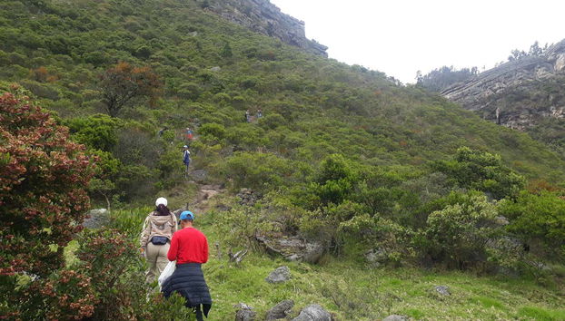 Discovering the lush nature of Sutatausa