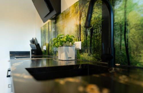 Ferienwohnungen Hirschen - Foto 45