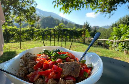 Tenuta Novecento Bio Agriturismo - Foto 150