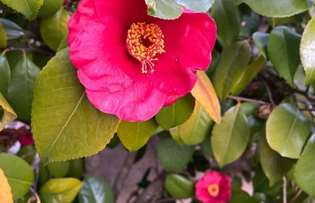 VISITAR BIOUCAS I - Casa Inteira Familiar e Grupo de Amigos - Foto 52