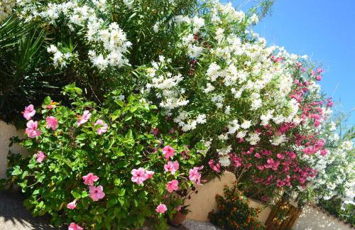 Casa Alexandra - Foto 28