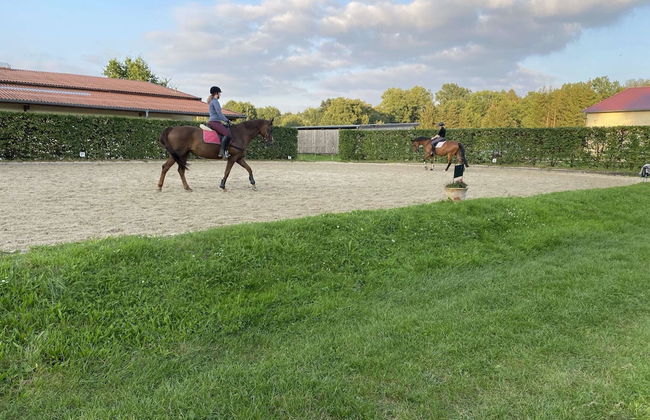 Gemutliche Unterkunfte auf dem Reiterhof in Eschede - Foto 71