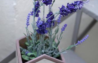 Konstantis - Foto 38