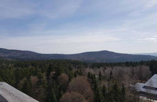 Haus Gerrie - Foto 22