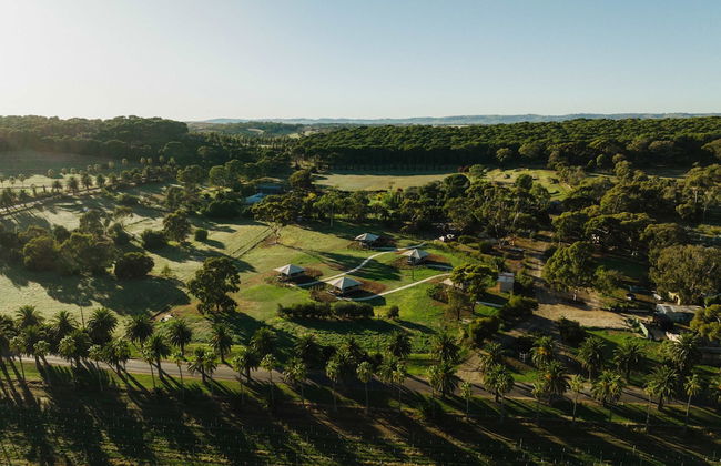 CABN X Seppeltsfield Barossa - Foto 32