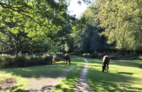 Cosy & Central Brockenhurst Flat, 2BR - Foto 27